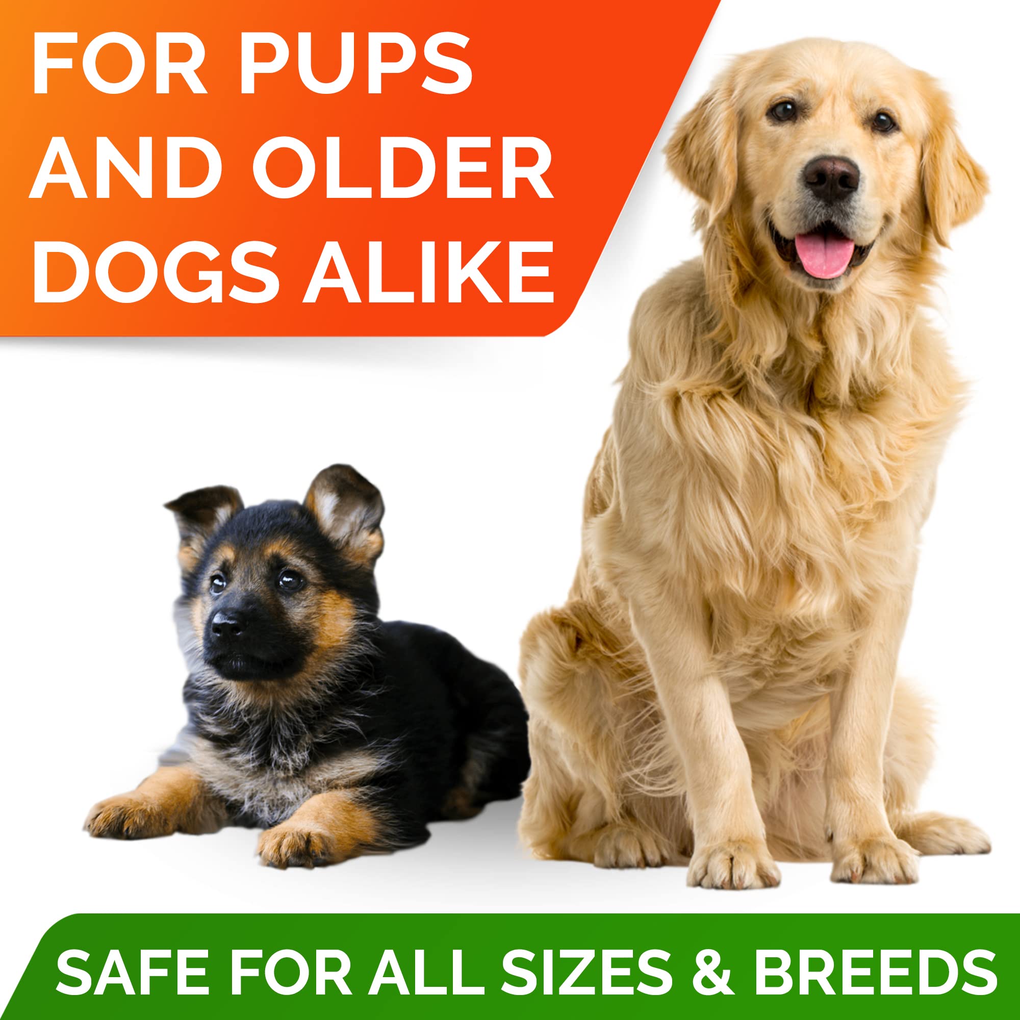 STRELLALAB Omega3 pour chien – fabrication USA, sans soja.