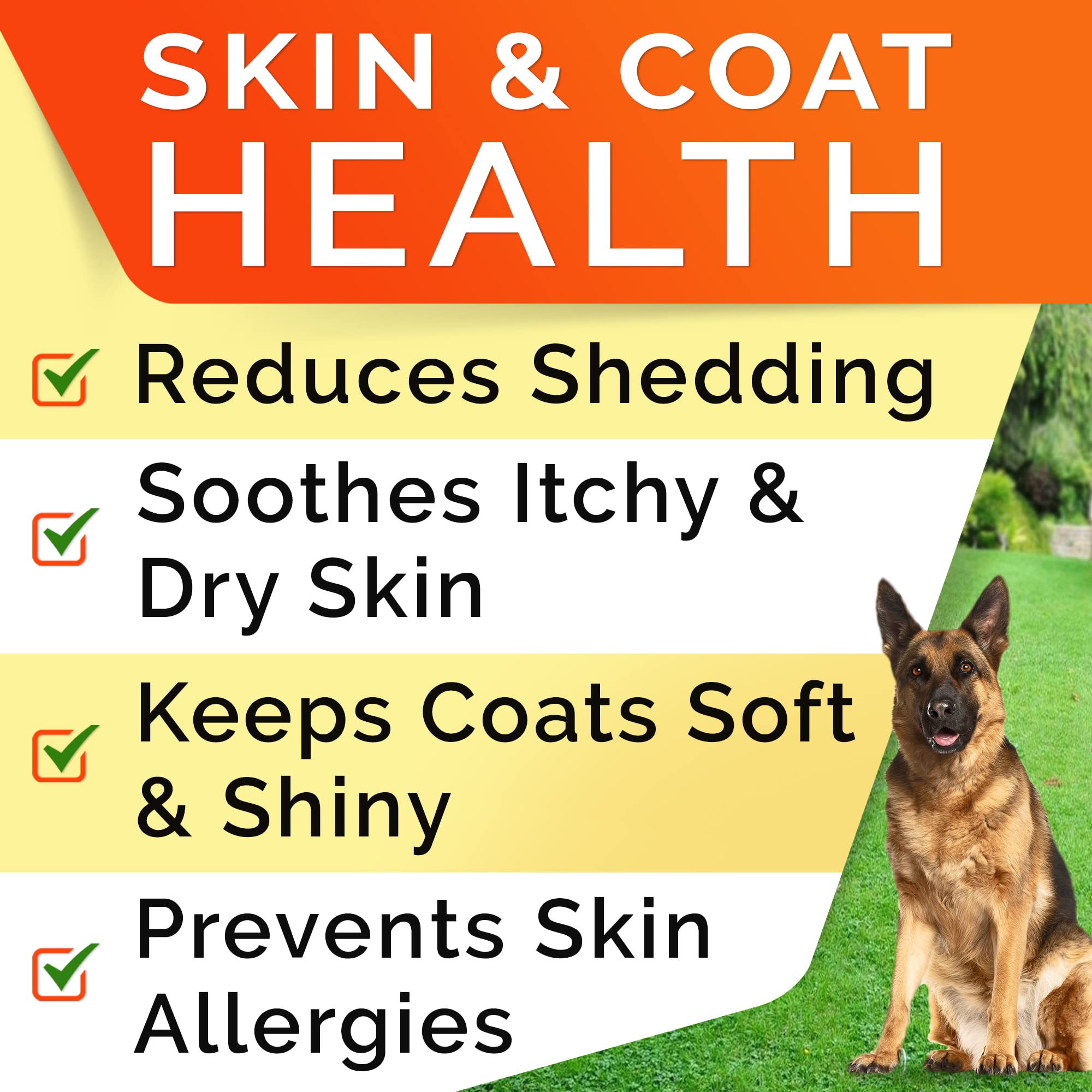 Chien mâchant une friandise STRELLALAB Omega3, soutien pelage et peau.