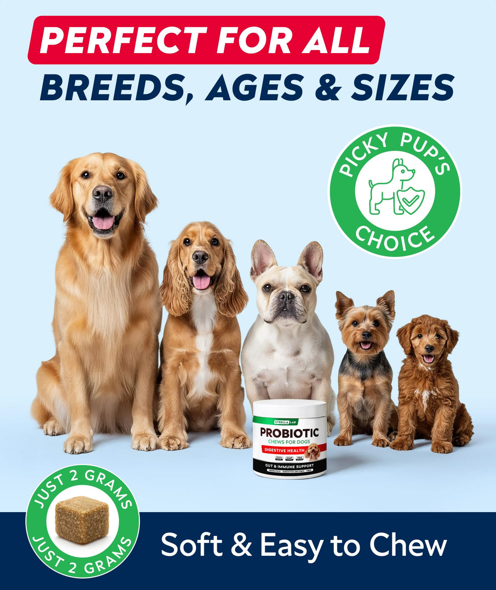 Convient à toutes les races et tailles – STRELLALAB pour chien.