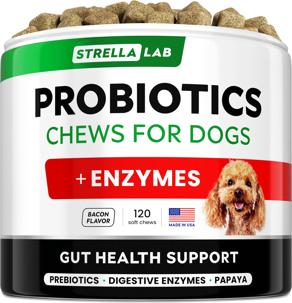 Pot StrellaLab chien, bouchées probiotiques, soutien digestion potentiel.