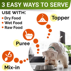 STRELLALAB Pumpkin pour chiens, utilisation quotidienne adaptée à tous les âges.