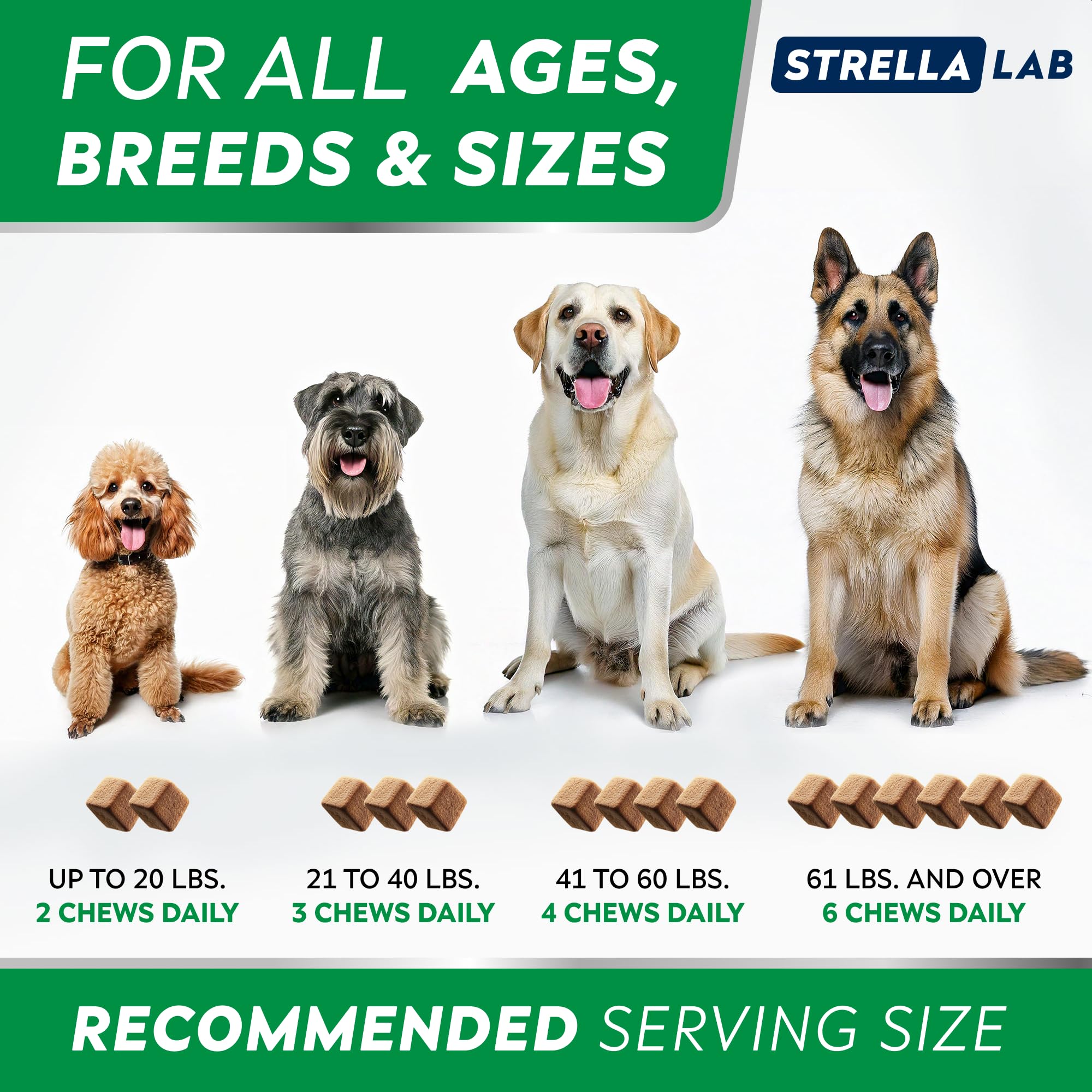 STRELLALAB résultats-potentiels-2-3semaines-chien, amélioration possible avec régularité.
