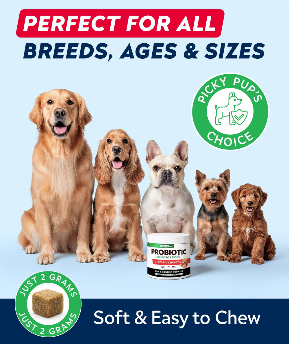 STRELLALAB boules probiotiques chien pour digestion quotidienne.