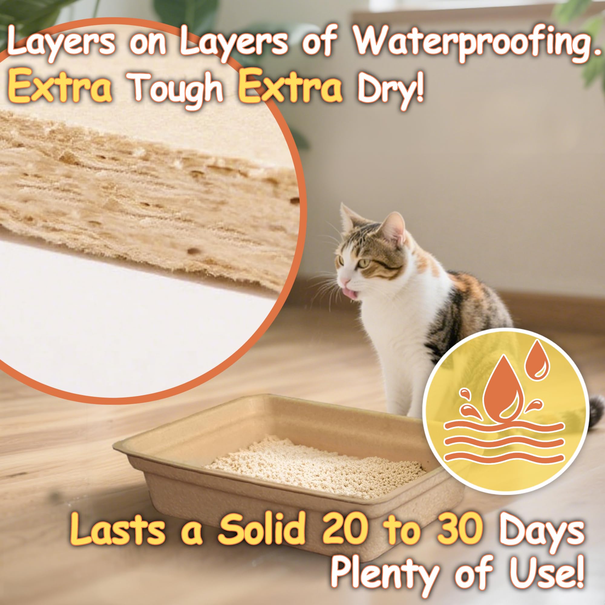 Strenthychosing base grande et stable pour chats actifs