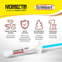 StrideGuard seringue orale avec dose précise, adaptée pour chevaux jusqu’à 1 250 lb.
