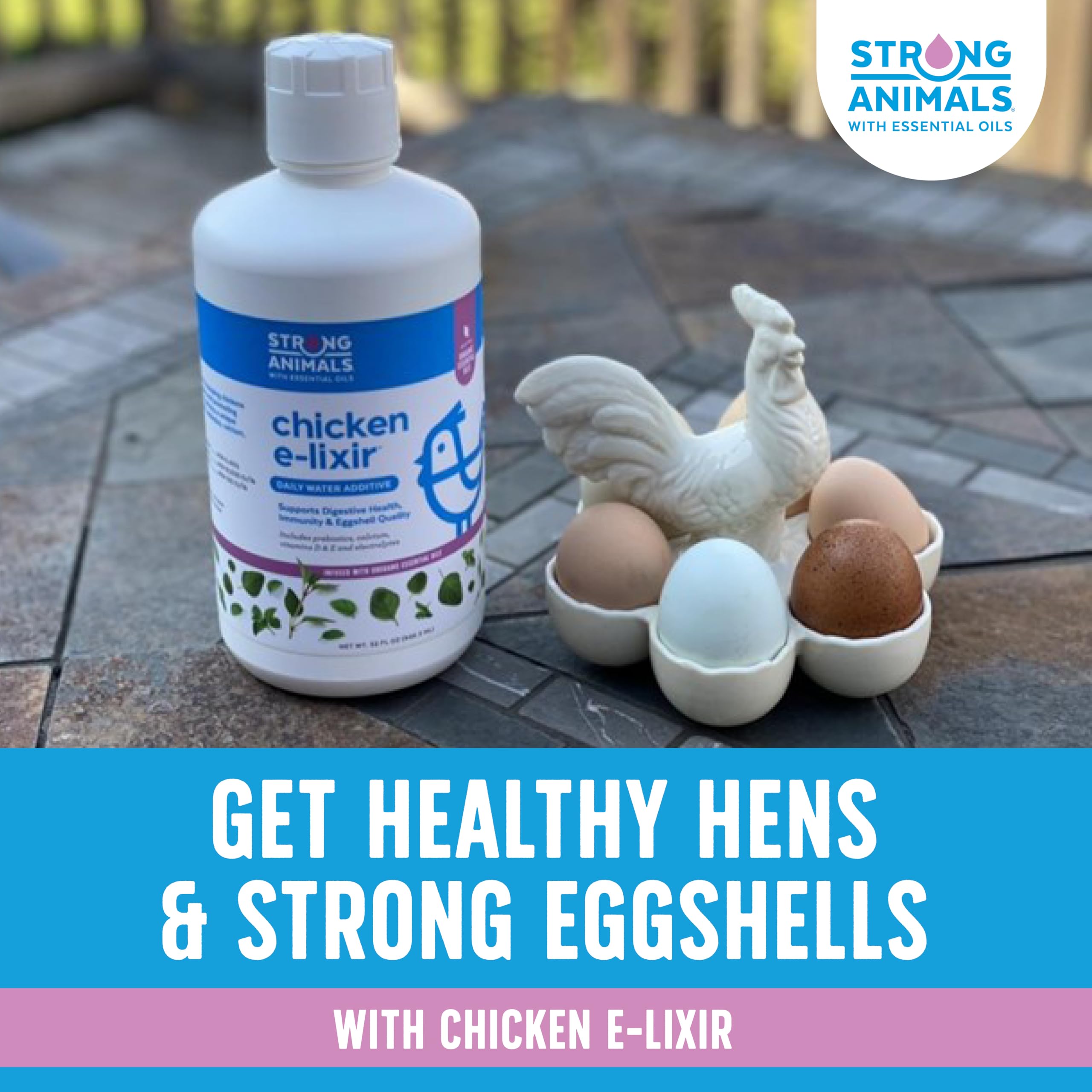 Strong Animals Coquilles d'oeufs ameliores, poules, calcium et vitamine D.