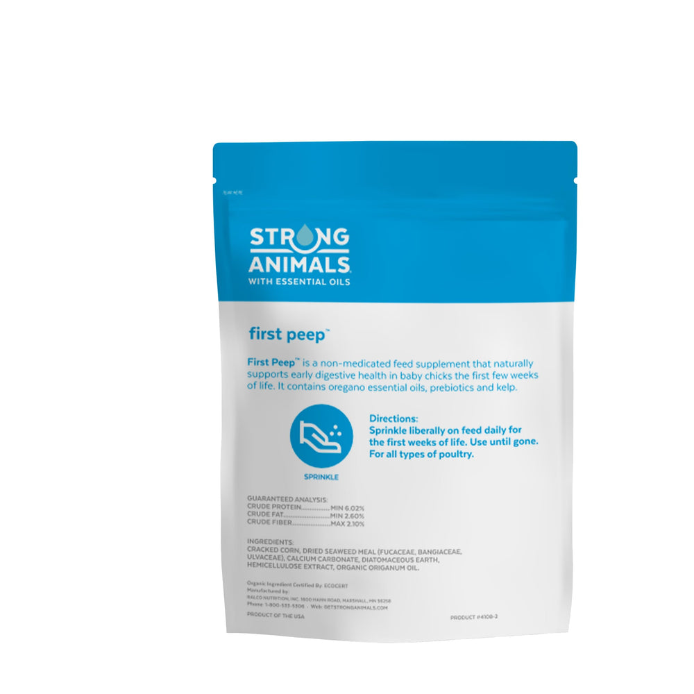 Strong Animals First Peep – Poussins mangeant le mélange enrichi.