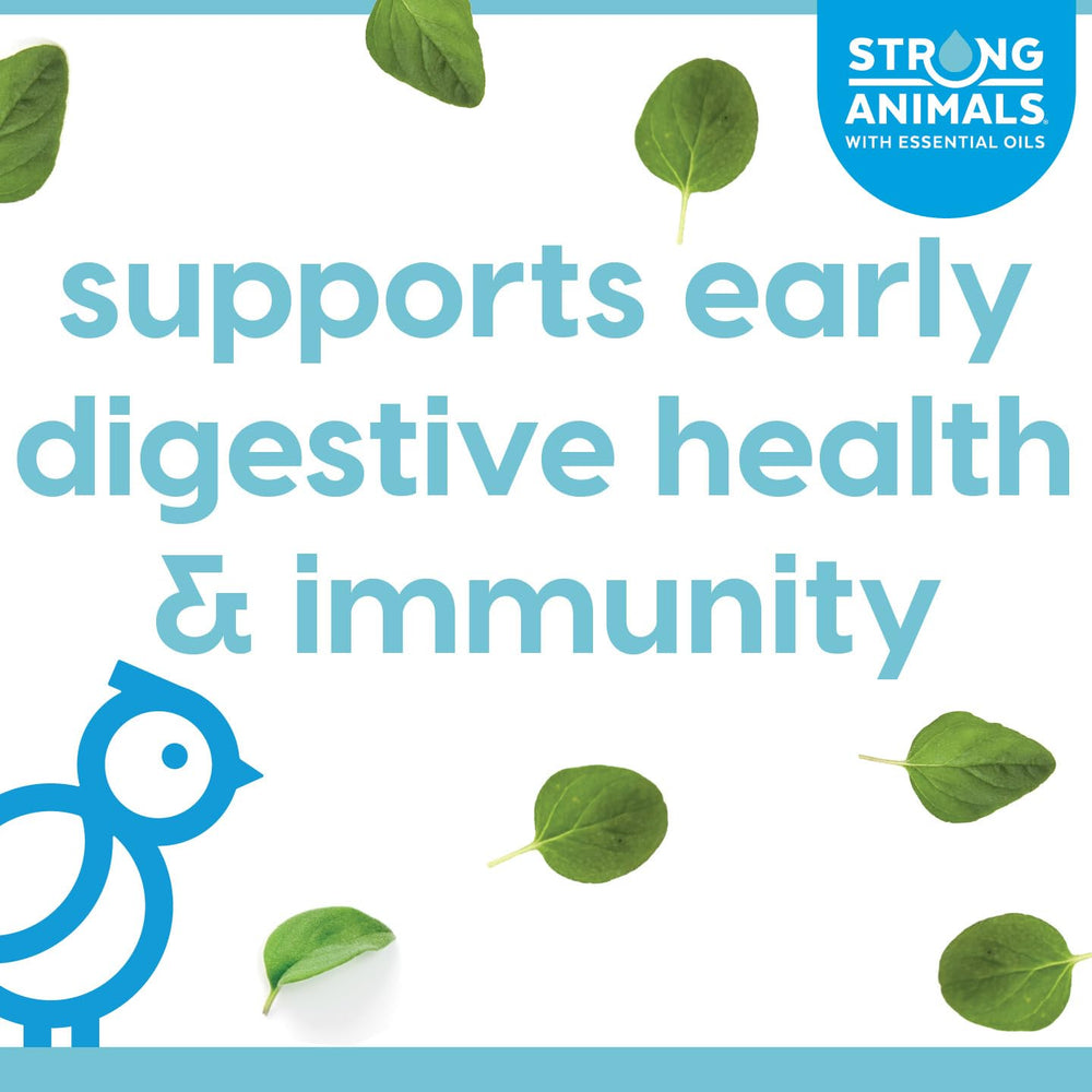 Strong Animals First Peep – Utilisation facile sur l'alimentation des poussins.
