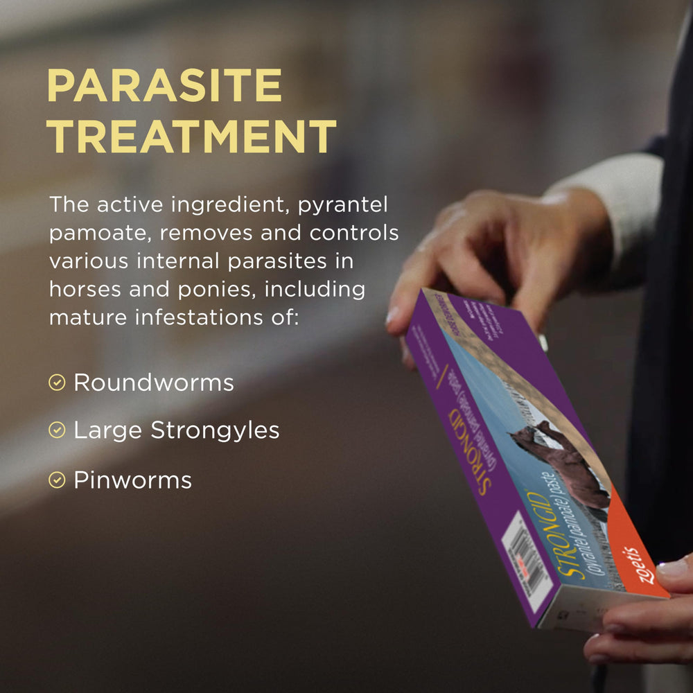 Strongid Paste: securite-juments-gestantes-allaitantes — adapté pour juments et poulains.