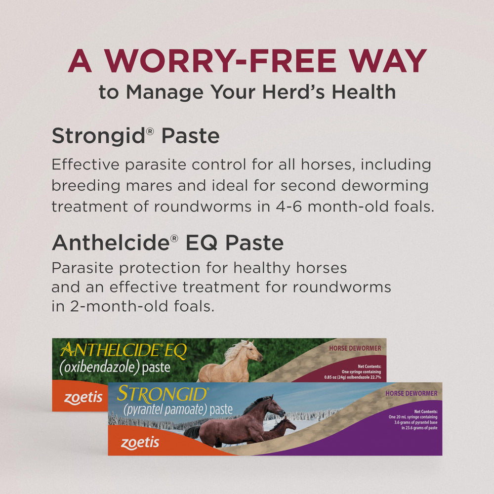 Strongid Paste: traitement-differents-parasites — contre vers et parasites internes.