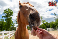 Ingrédients naturels Stud Muffins Slims pour chevaux sensibles