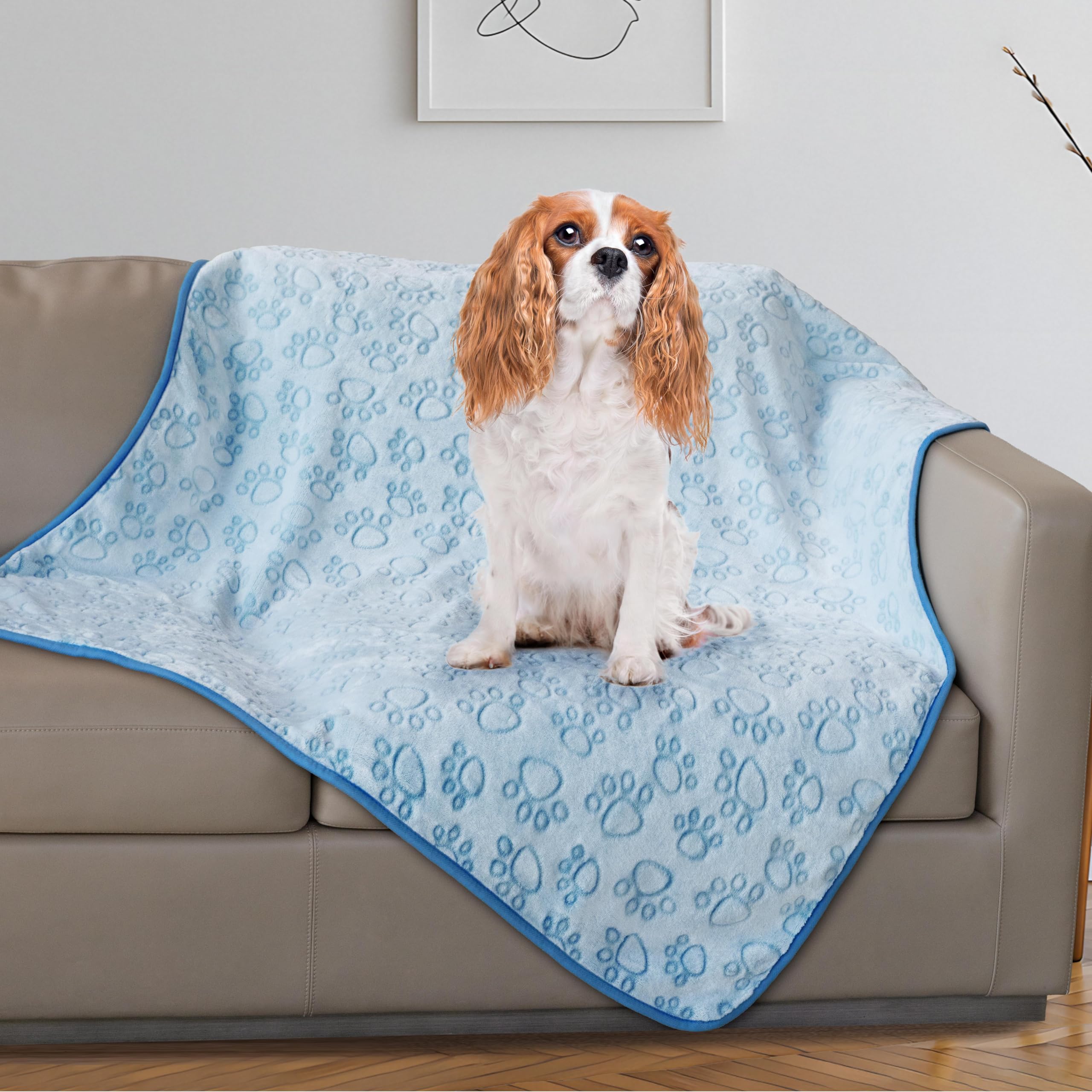Moment détente: douceur pelucheuse pour votre animal.