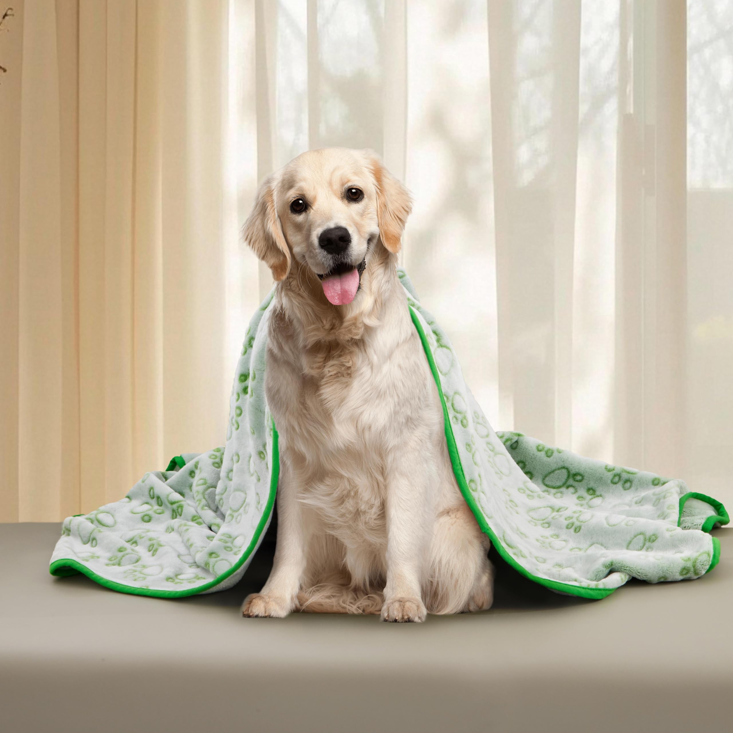 Stuffed couverture chien verte emballage cadeau inclus, prêt à offrir.
