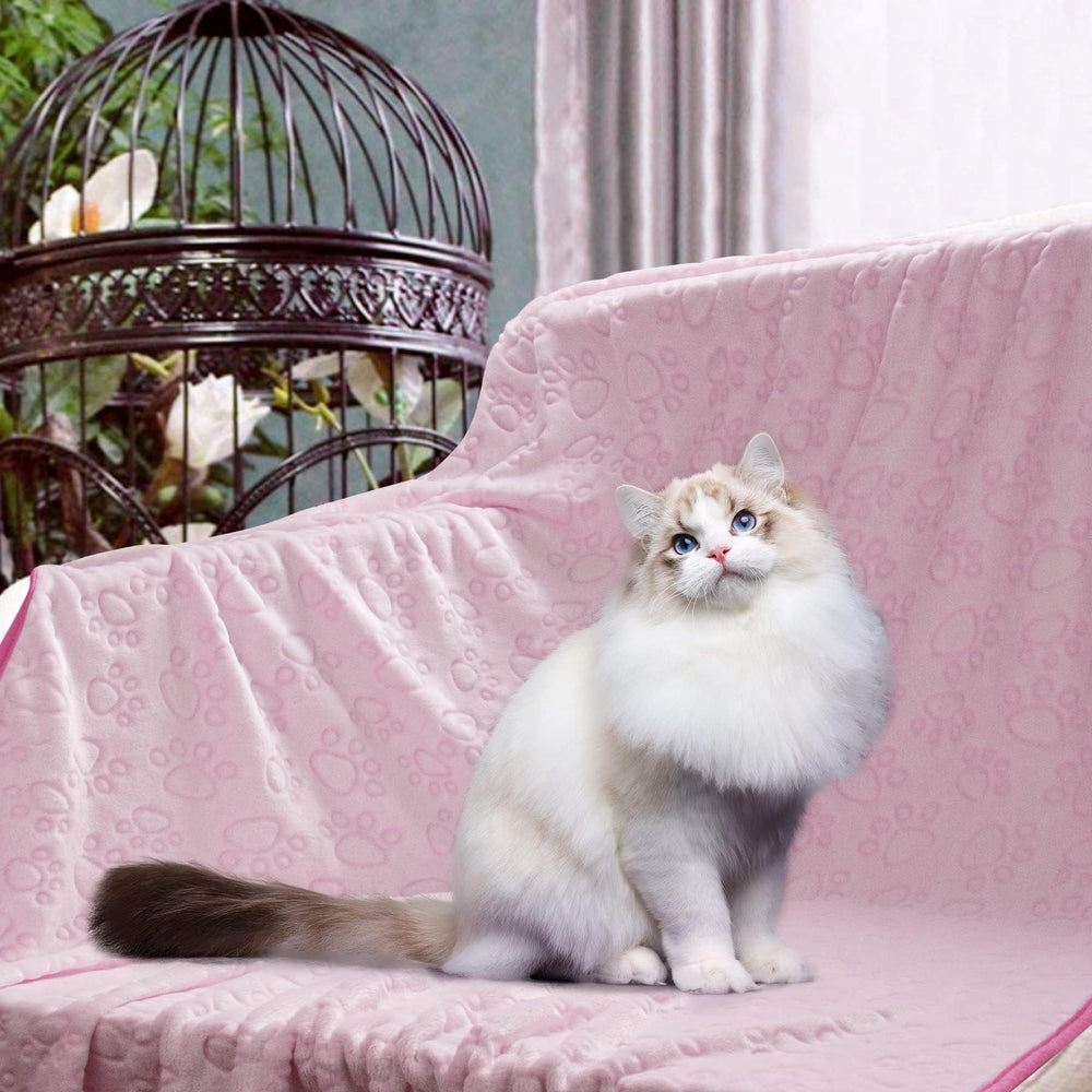 Stuffed couverture chat, texture chaude et légère, idéale pour ronronner confortablement.