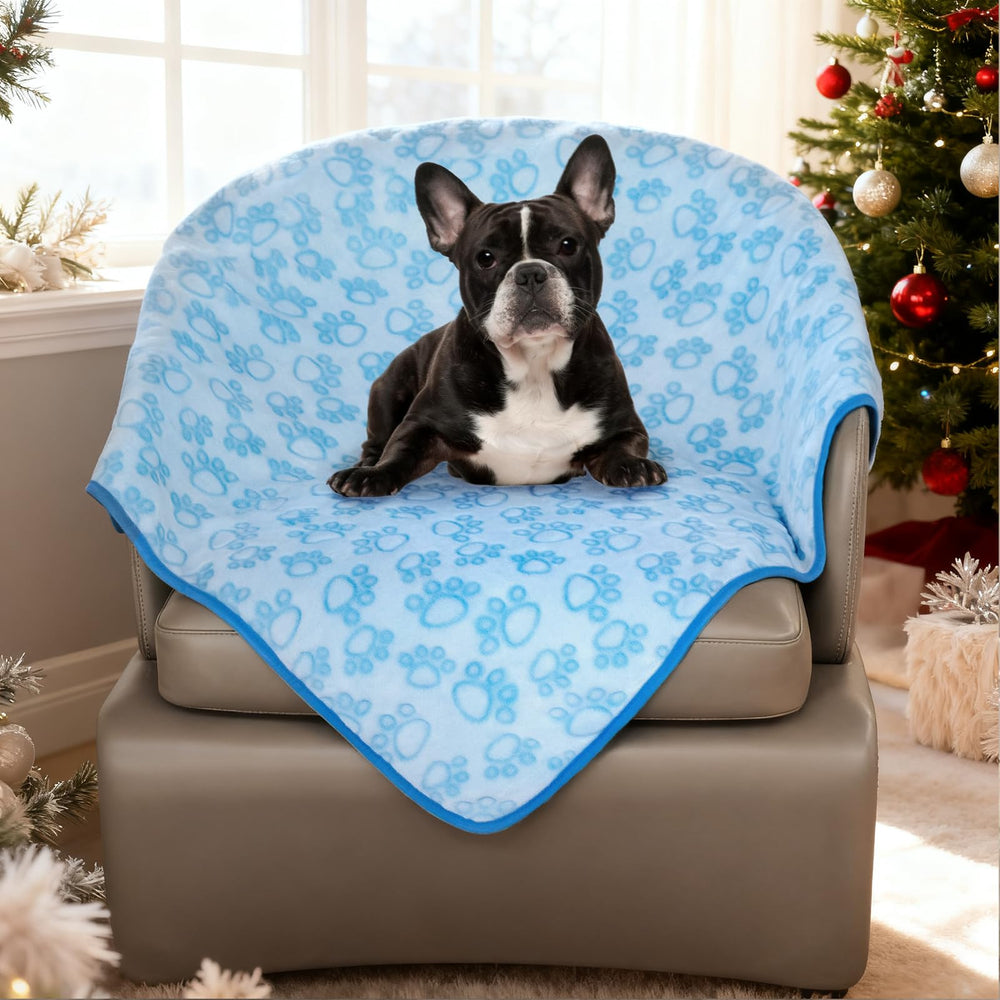 Idée cadeau festive Stuffed bleu pour animaux de compagnie