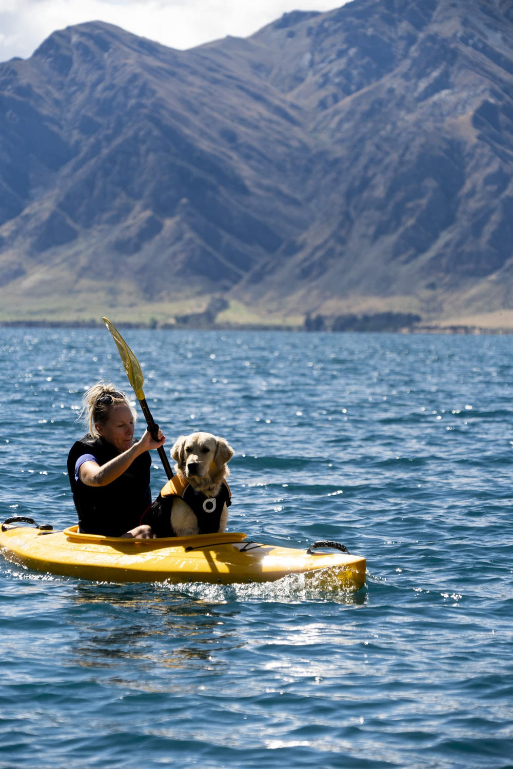 Stunt Puppy Float Doggy : design ergonomique pour un port ergonomique et sûr