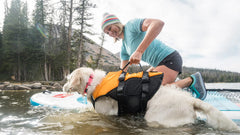 Stunt Puppy Float Doggy : silhouette légère et mouvement libre sous l'eau