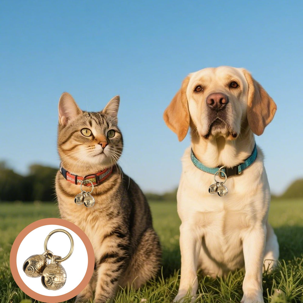 Styquenzer cloche cuivre pour collier chien et chat – décor Noël et bricolage compatibles.