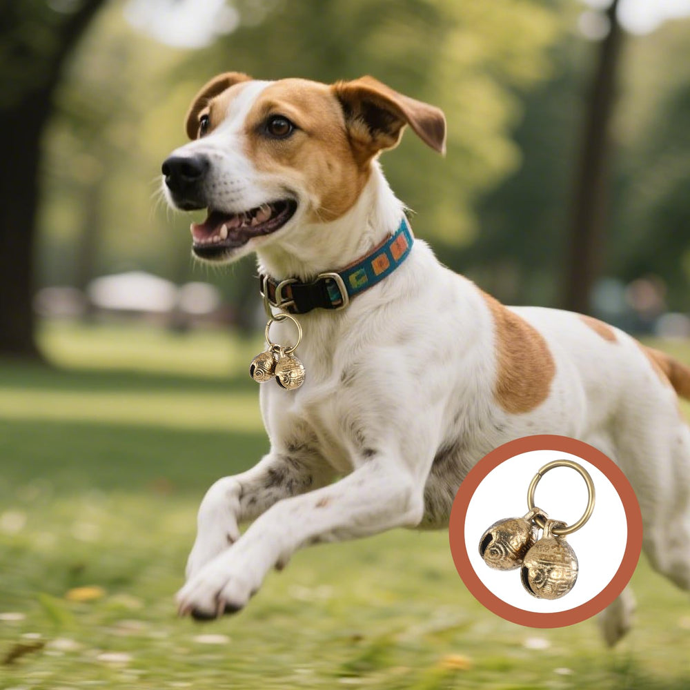 Styquenzer cloche cuivre collier chien – usage quotidien, praticité et sécurité légère.