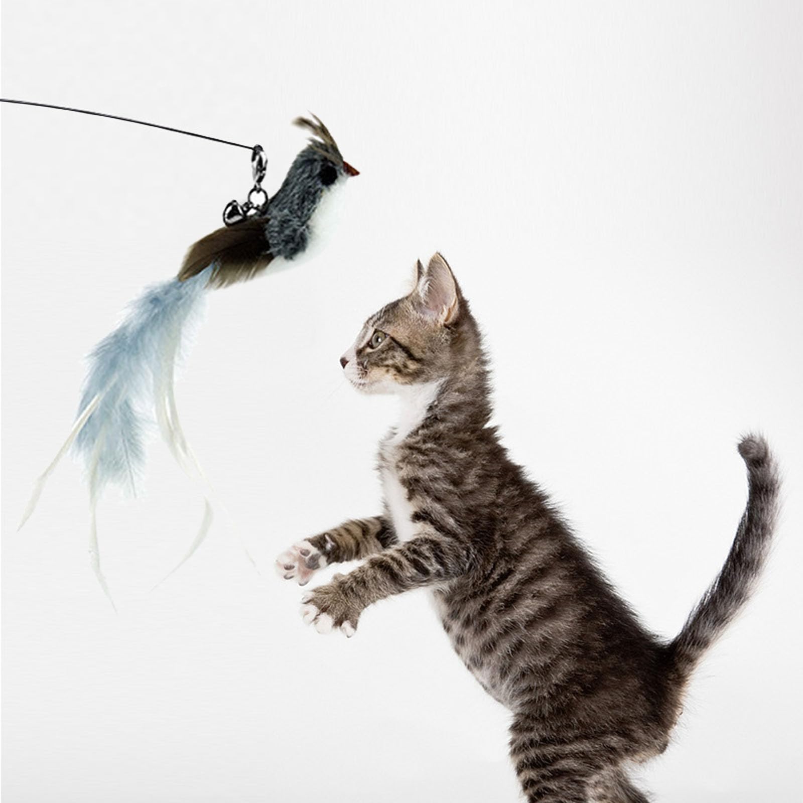 Cadeau SUBANG idéal, stimule l’activité et le divertissement du chat