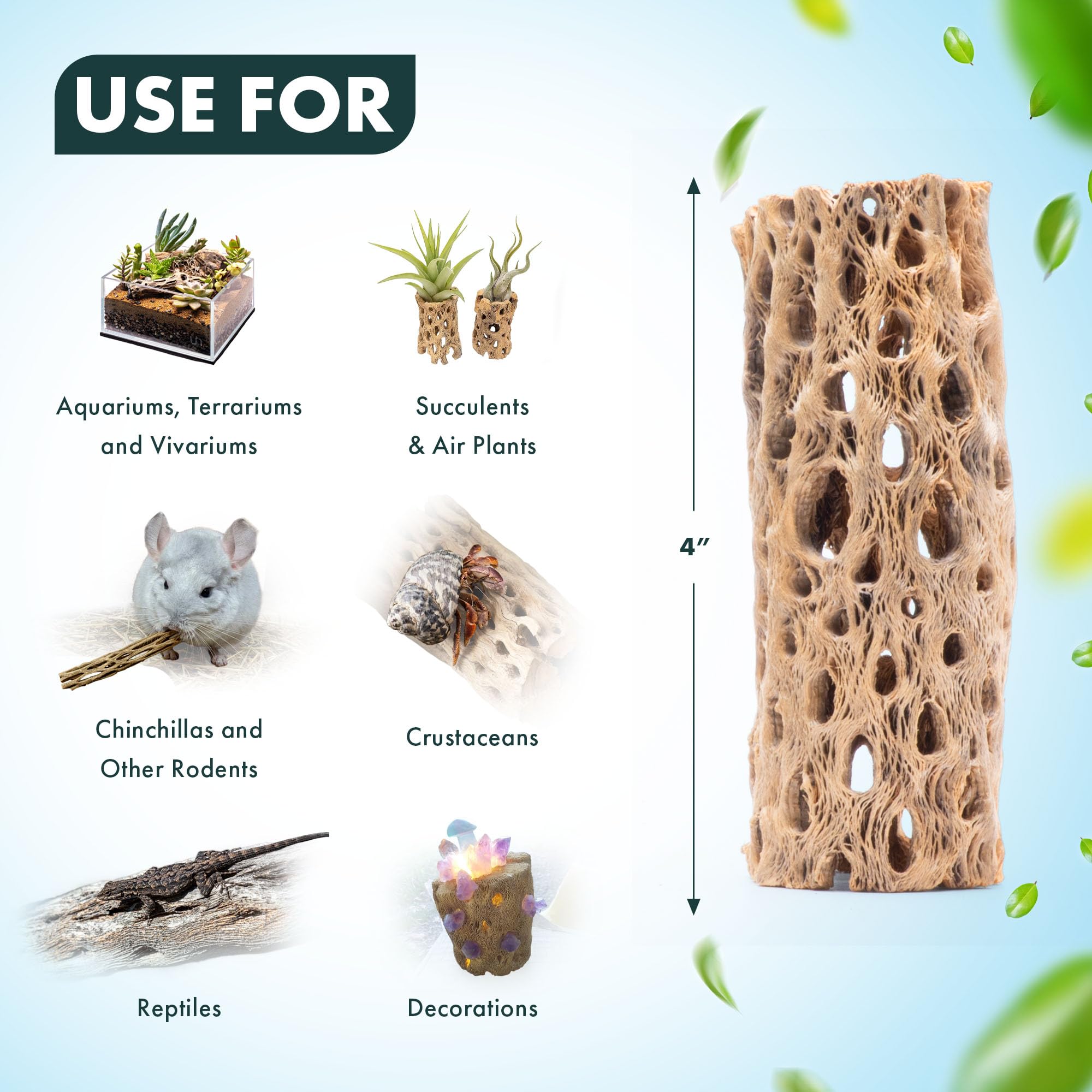 SubstrateSource bois cholla structure poreuse pour habitat aquatique et terrarium