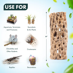 SubstrateSource bois cholla structure poreuse pour habitat aquatique et terrarium