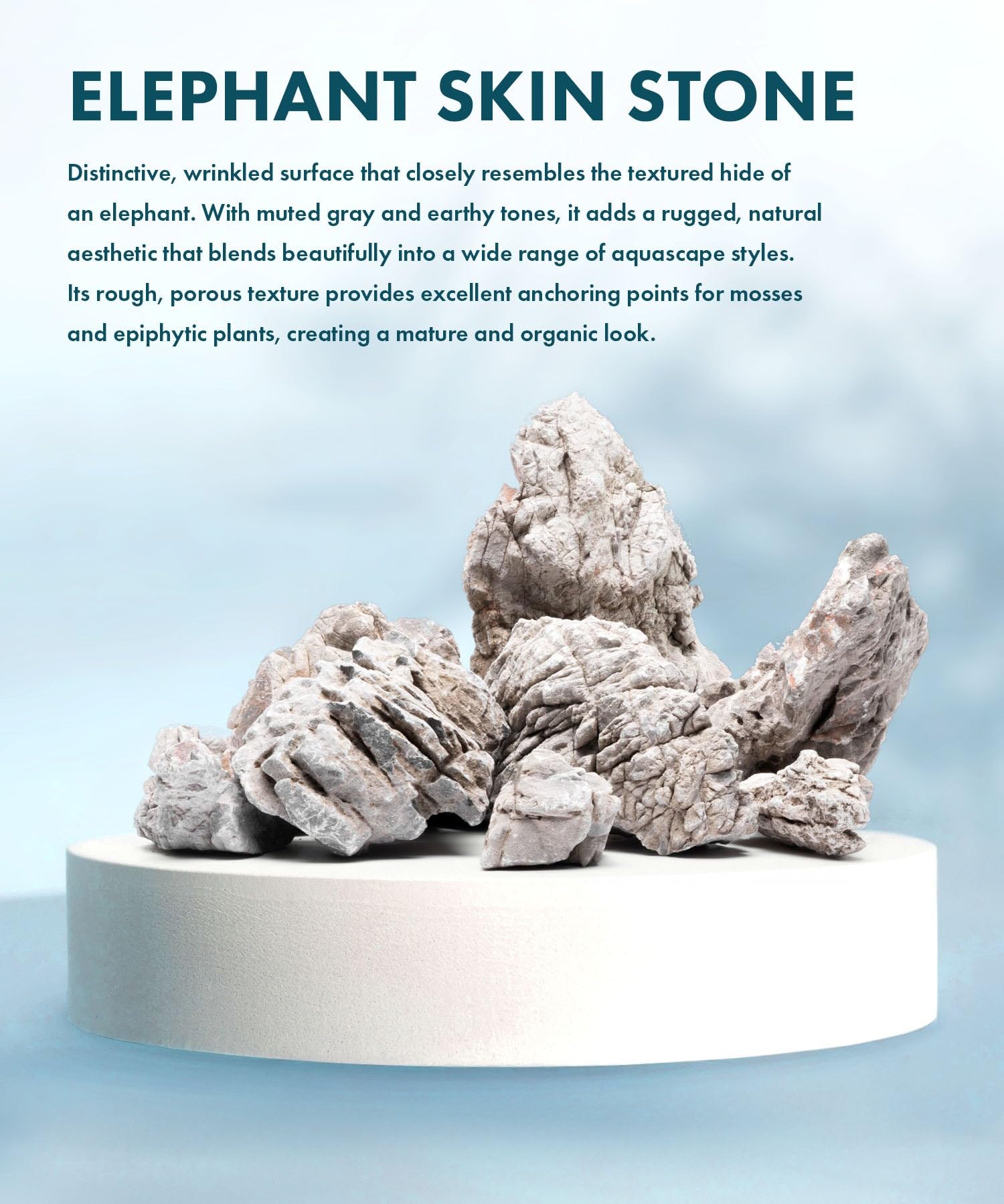 Pierre SubstrateSource peau d'éléphant avec dimples et cratères, texture unique