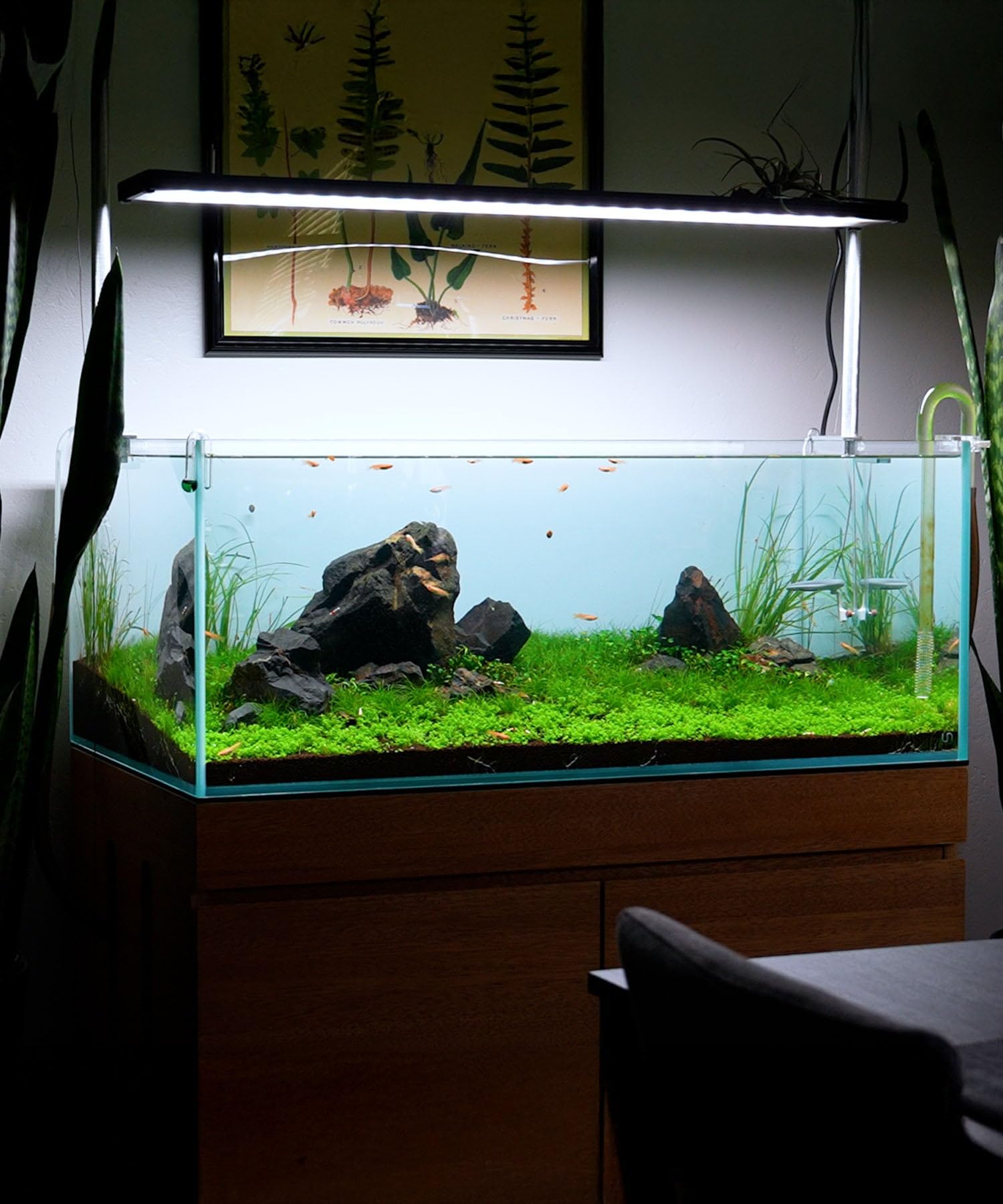 Pierre d'aquarium montagneuse SubstrateSource pour un décor réaliste en terrarium.