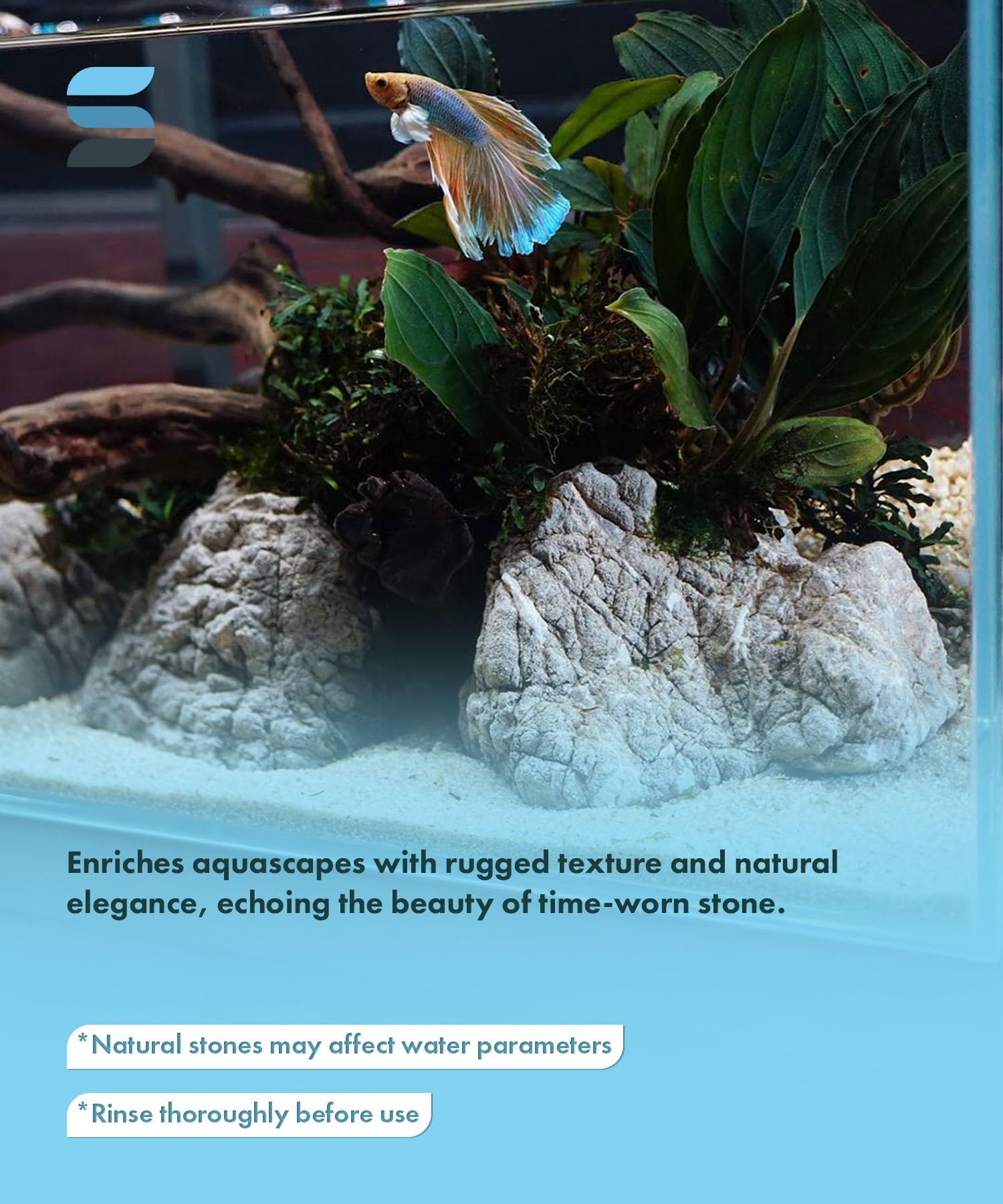 Pierres SubstrateSource pour épiphytes, attachez facilement les plantes dans l'aquarium