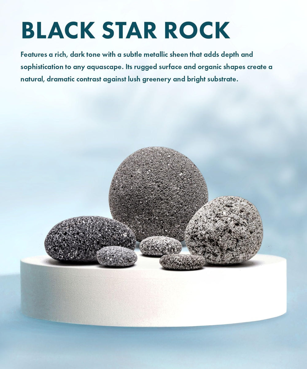 Roches volcaniques noires SubstrateSource, aspect mat et robustesse pour décor d'aquarium