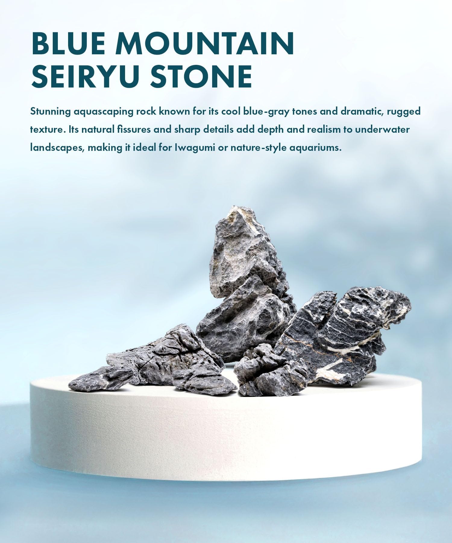 Seiryu SubstrateSource, angles marqués et crevasses pour un décor naturel.