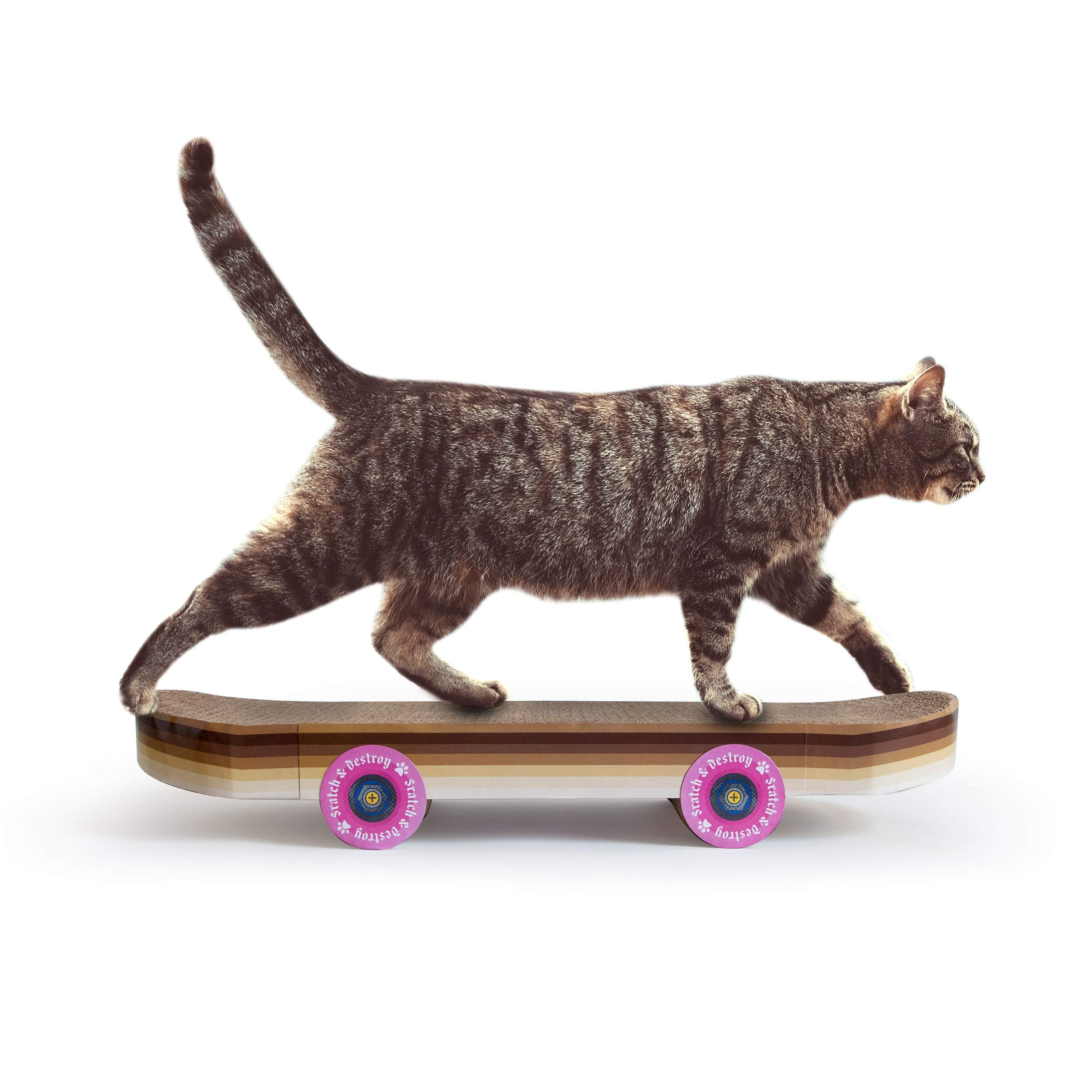 Planche-skate-chat Suck UK, divertissement intérieur.