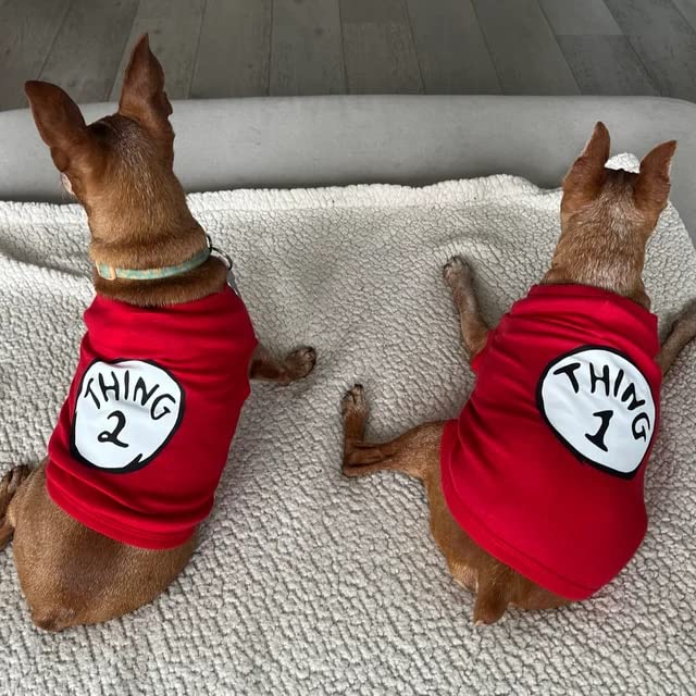 Tee-shirt chien SUEOSU arrière, imprimé culture pop, style distinct pour chien joueur.
