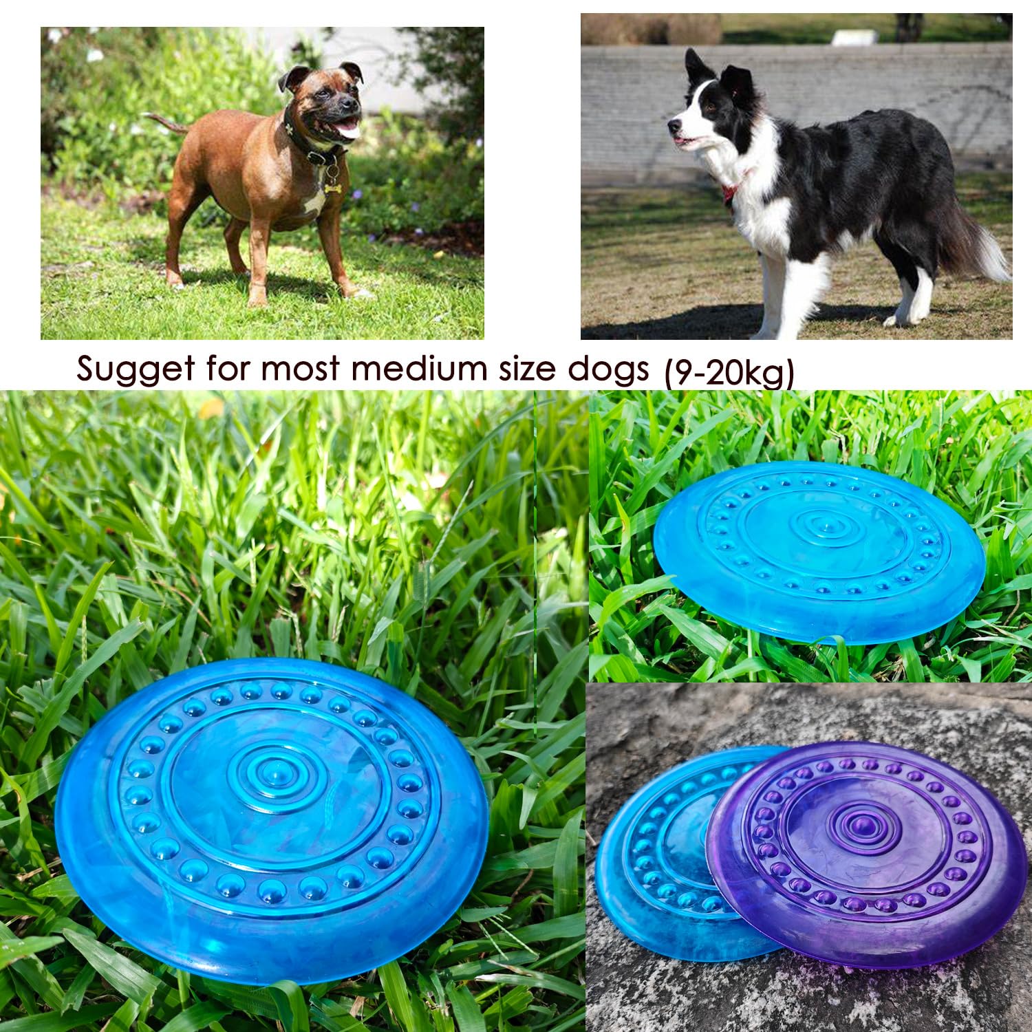 SUHEEUS disque volant chien violet pour visibilité lors des jeux.