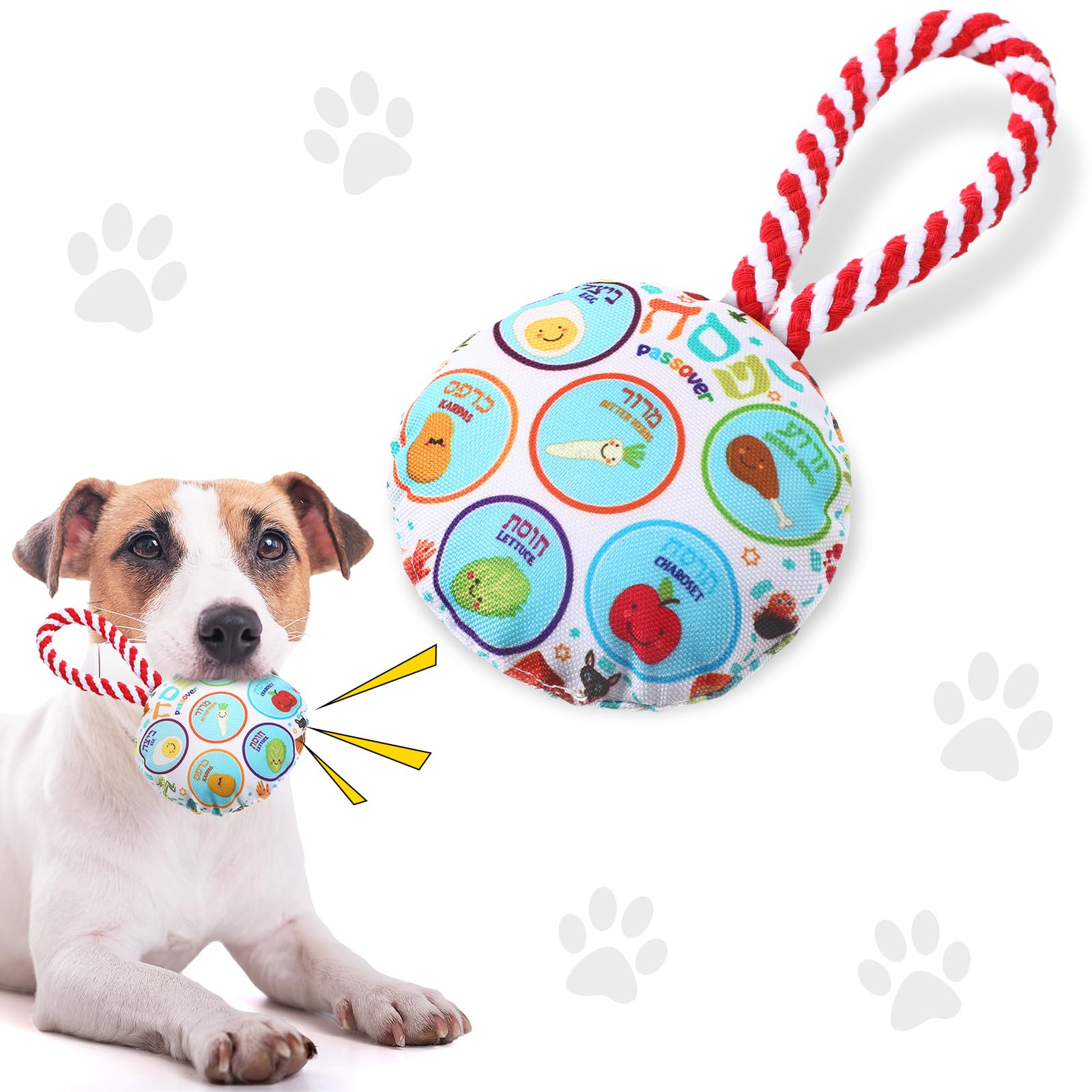 Suilung assiette pessah : design festif pour le repas du chien.