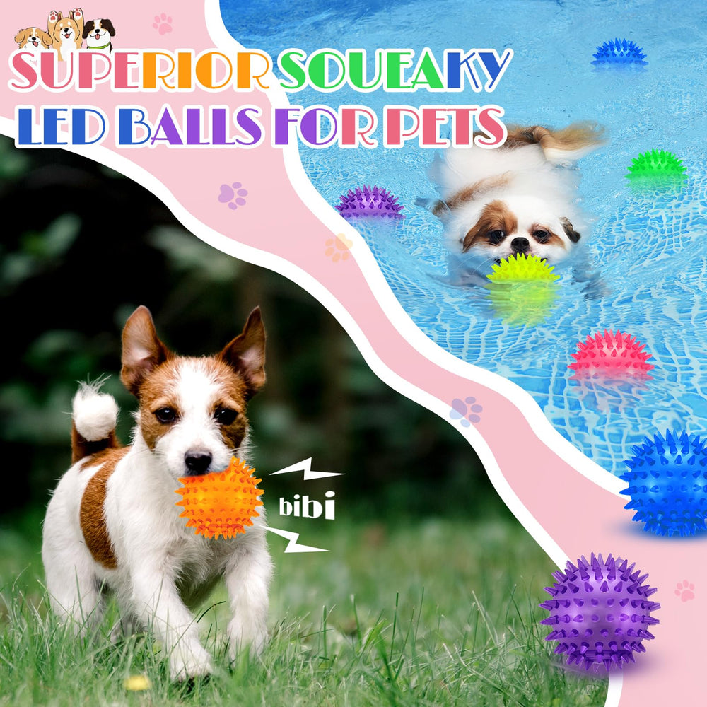 Balle Suilung adaptée petits et moyens chiens, jeu polyvalent.