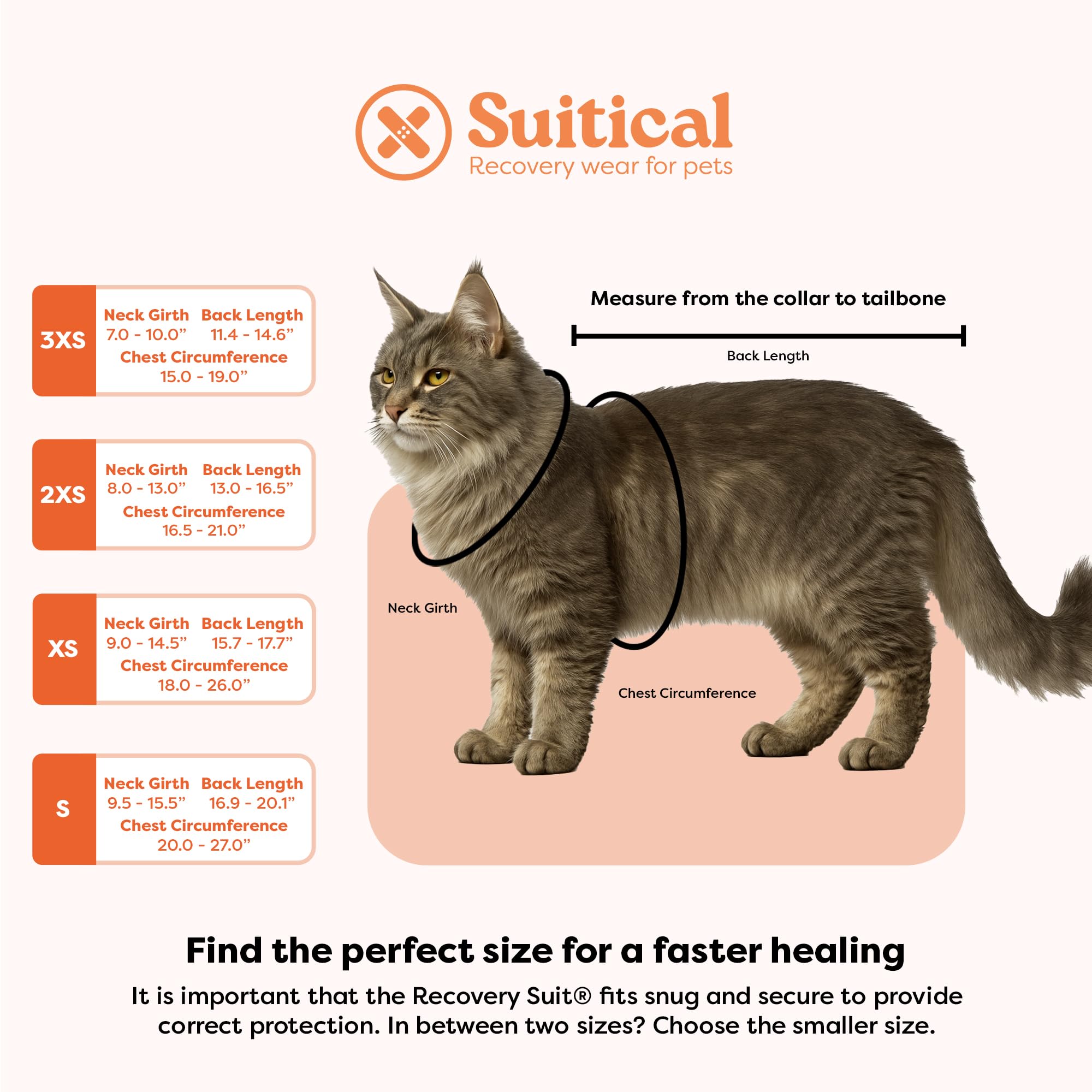 Suitical: conception avec vétérinaires et propriétaires pour le bien-être animal.