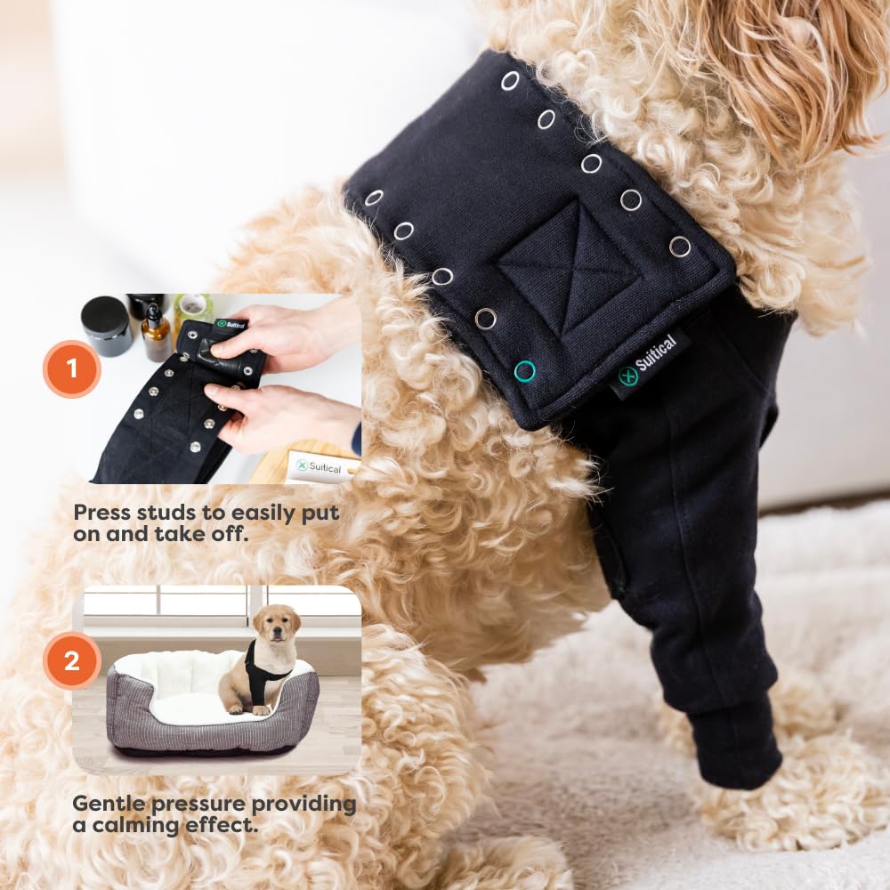 Confort poitrine avec pression légère Suitical pour apaiser le chien.