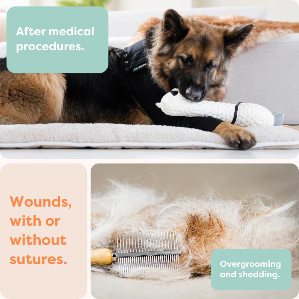 Conception experte par vétérinaires et passionnés pour le bien-être canin.