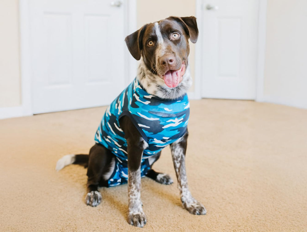 Suitical Recovery Suit pour chien grand bleu camouflage – dos du vetement