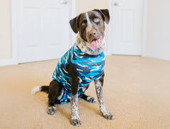 Suitical Recovery Suit pour chien grand bleu camouflage – dos du vetement