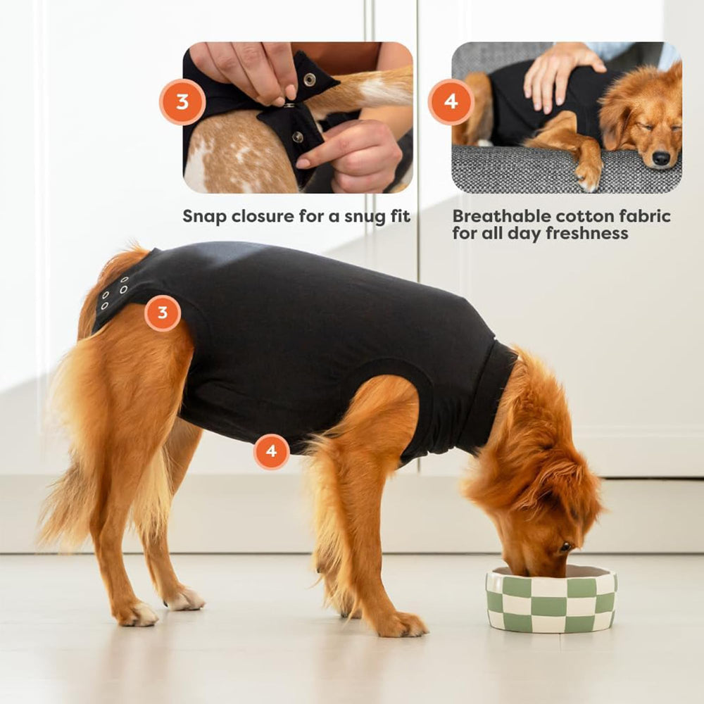 Suitical Recovery Suit élastiques autour du cou, de la queue et des pattes pour un ajustement sûr.
