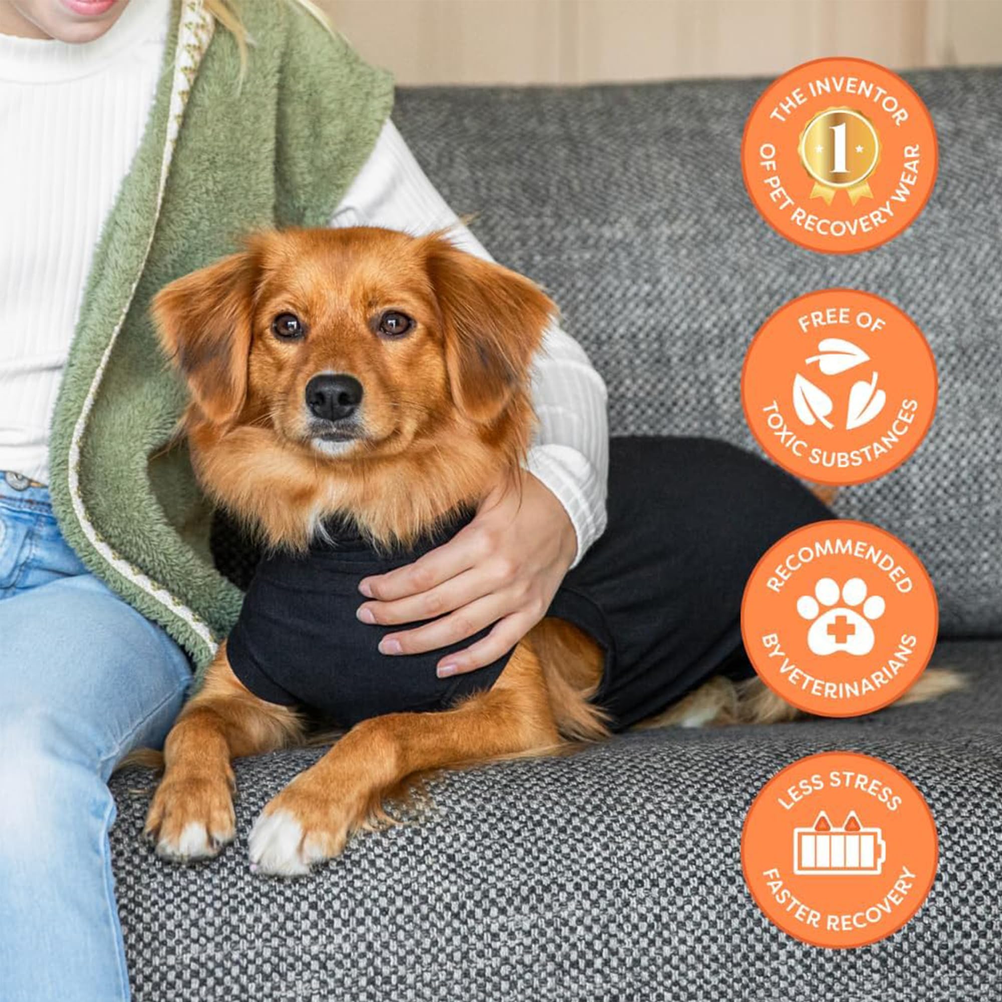 Taille adaptée pour petits chiens, maintien et mobilité pendant la convalescence.