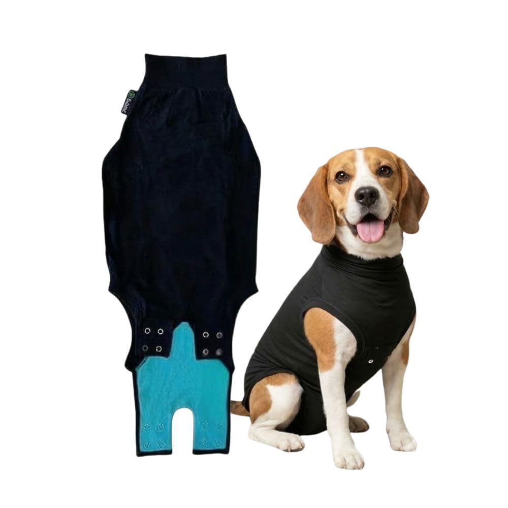 Combinaison de récupération Suitical pour chien couvrant le cou et la queue, confort durable