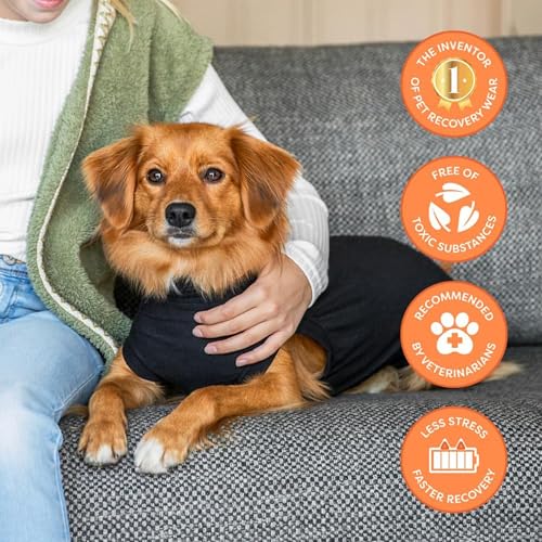 Longueur dos ajustable 21,7–27,2 po pour chiens de taille moyenne