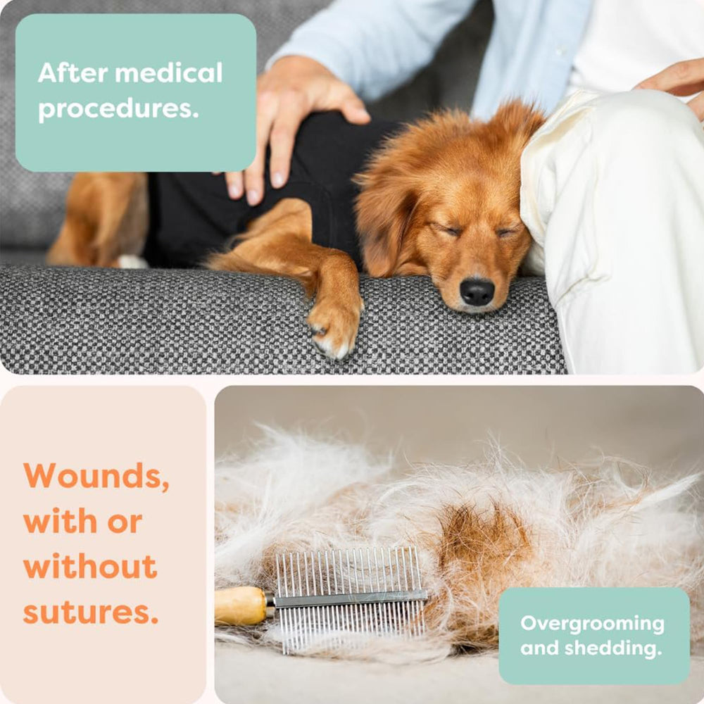 Protection efficace des sutures et incisions contre saleté et poussière