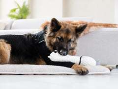 Tissu coton-lycra doux de Suitical, respirant et confortable pour votre chien.