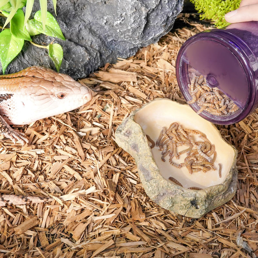 SUKEOPET design-violet-pour-reptiles, esthétique moderne adapté à la maison animale