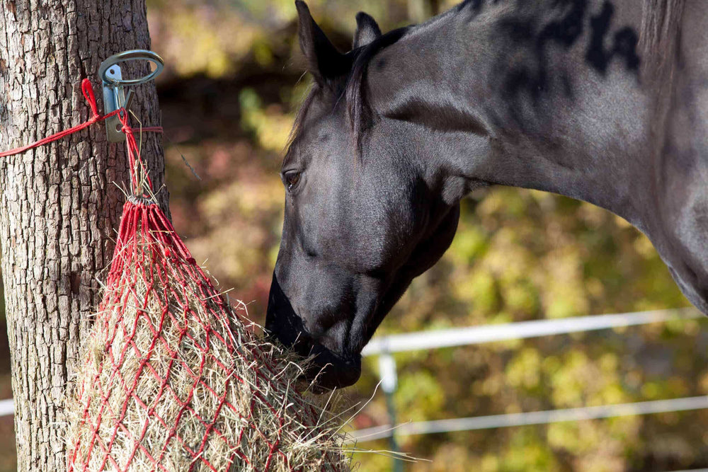 SUKEYME installation stalle cheval: montage rapide avec vis fournies.