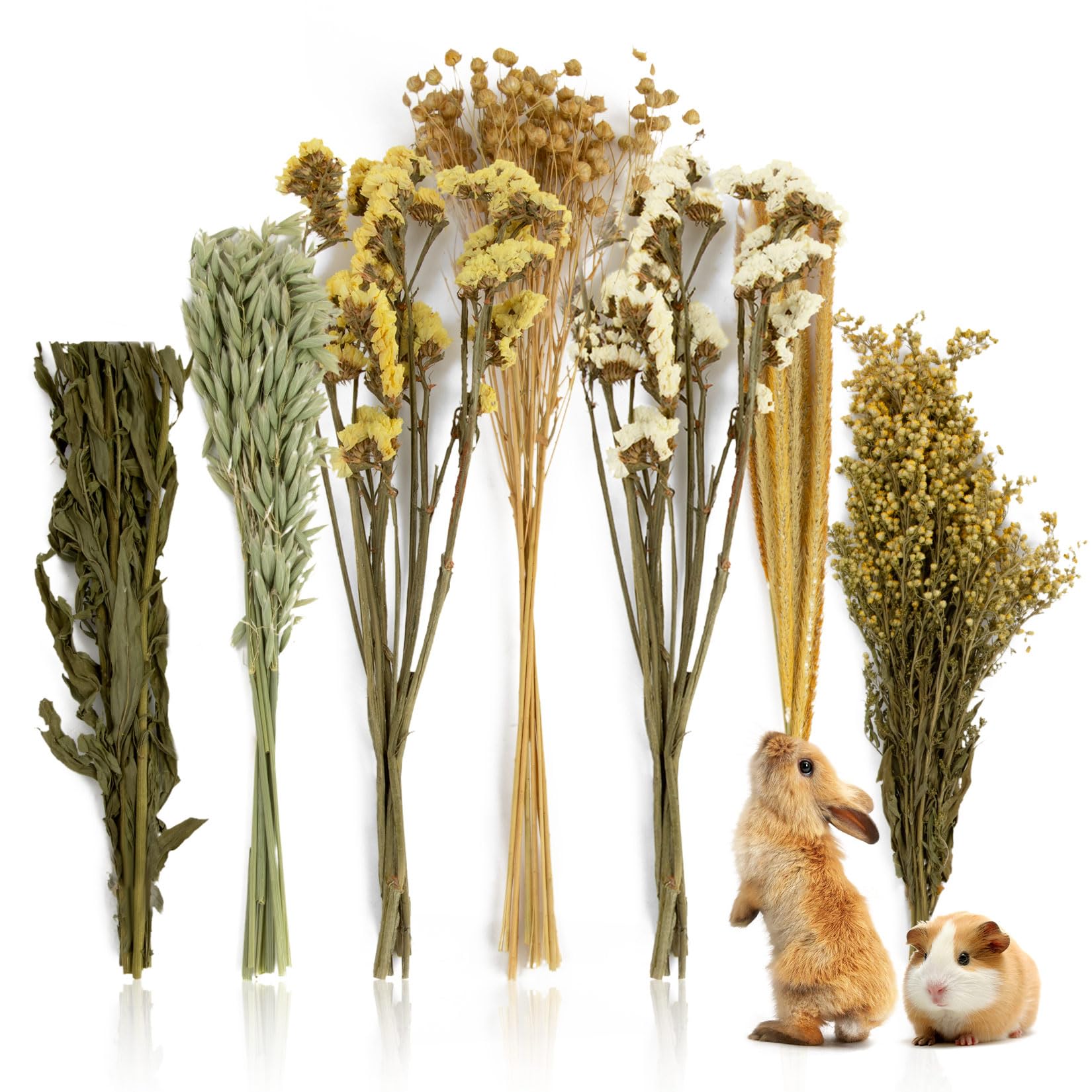 Lit de hamsters Sukh 47Pcs avec fleurs et herbes, décor naturel pour habitat confortable.